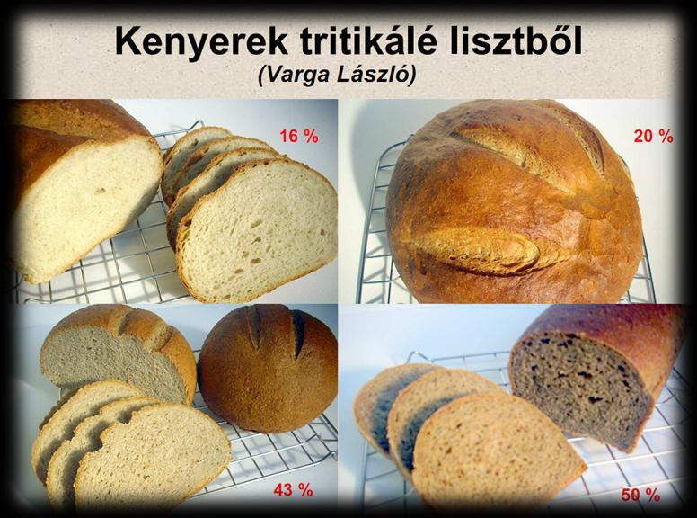 10-20 % tritikálé lassabban öregedő kenyér 40 %-ban búzaliszttel keverve 60 %-ban dietétikai célra A sütőipari technológia kifejlesztésében a kezdetektől rész vesz Varga László az MPSZ Békés-Csongrád