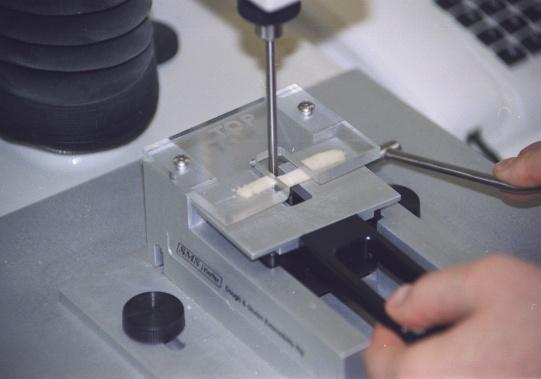 SMS2 Texture Analyser (Kieffer) bemutatása A texture analyser a reológiai tulajdonságok legfontosabb paramétereit, a tészta és a sikér erősségét, nyújthatóságát objektiv módon meghatározó műszer.