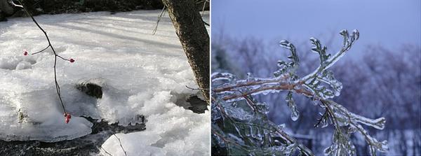Február 24. Mátyás napja Azt tarják, ha hideg az idő, Mátyás töri a jeget, ha viszont nem talál, akkor csinál. Azaz hirtelen időjárás változást vártak ettől a naptól.