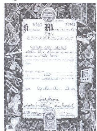 Szomolányi Ferenc nem adta meg magát, maszek lett, önálló kisiparos maradt 1980-ban bekövetkezett haláláig.