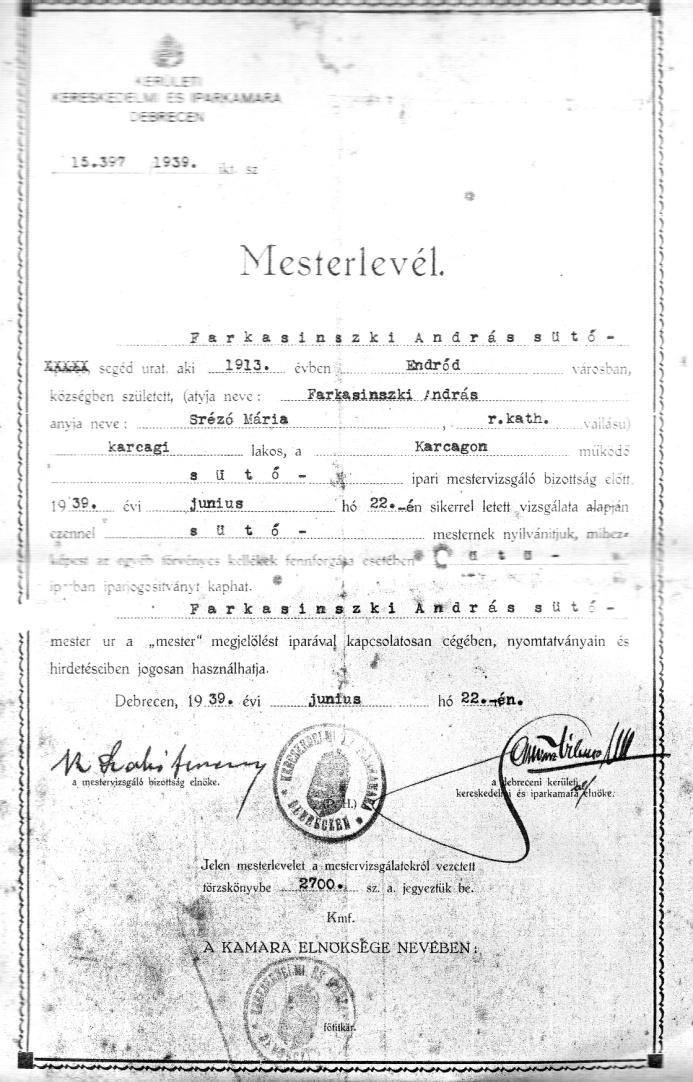 IX.1.5. A Farkasinszki család története.