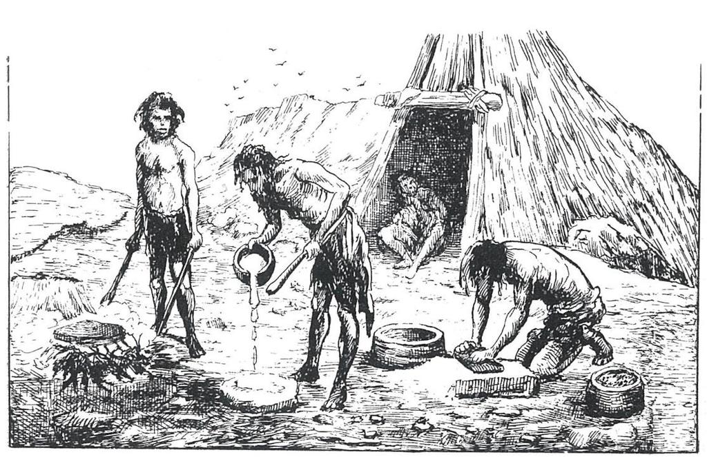 V. Az egykori és jelenlegi malmok, a hazai malomipar V.1.