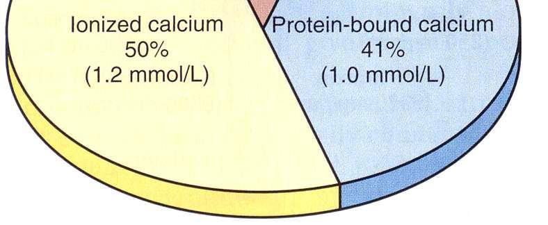 Fehérjekötött calcium 41% 90% albuminhoz