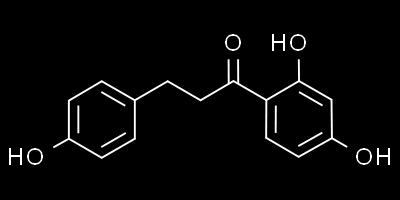 inhibitor, inhibition of gluconeogenesis Probably the normal dietary amount is not