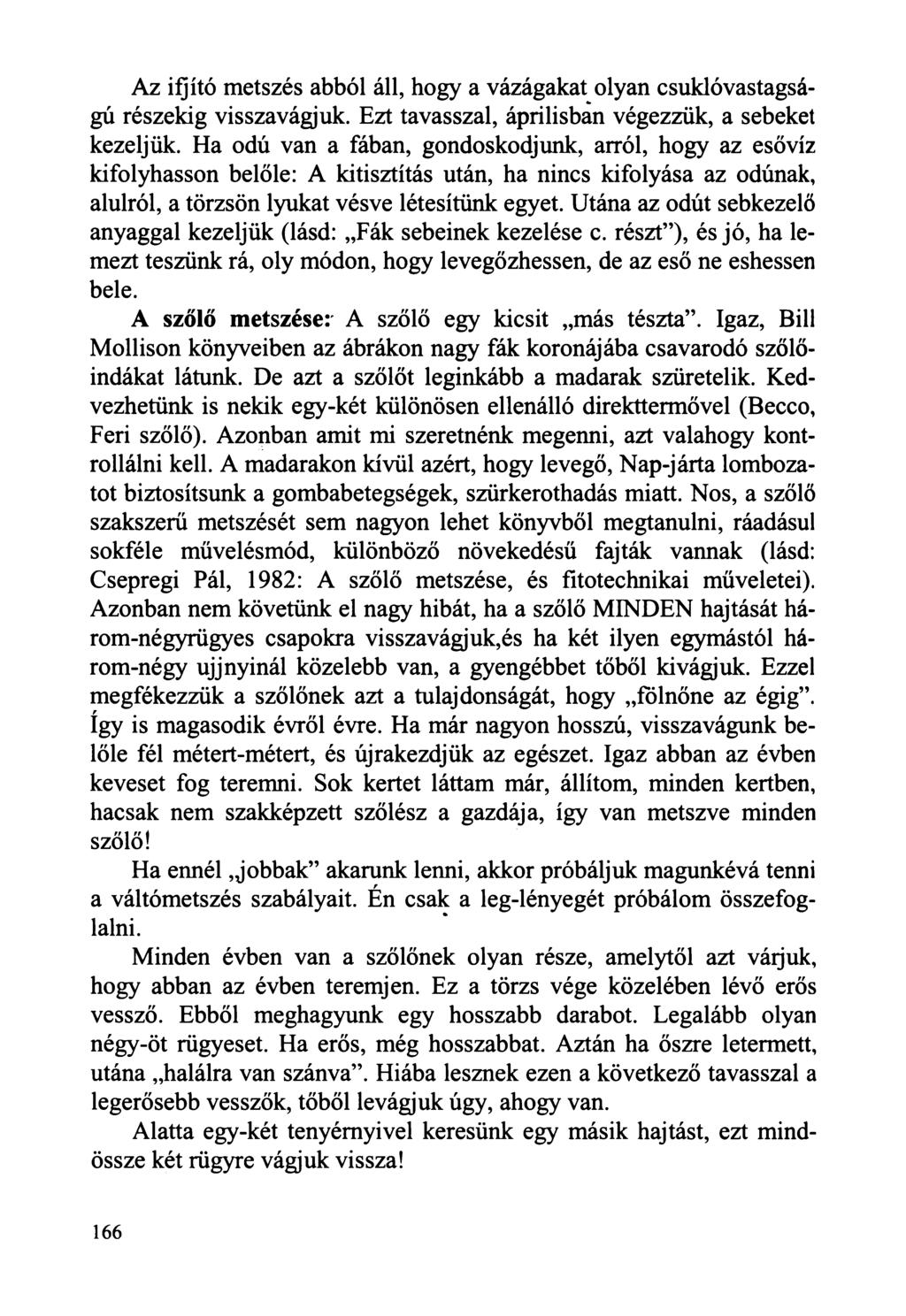 Az ifjító metszés abból áll, hogy a vázágakat olyan csuklóvastagságú részekig visszavágjuk. Ezt tavasszal, áprilisban végezzük, a sebeket kezeljük.