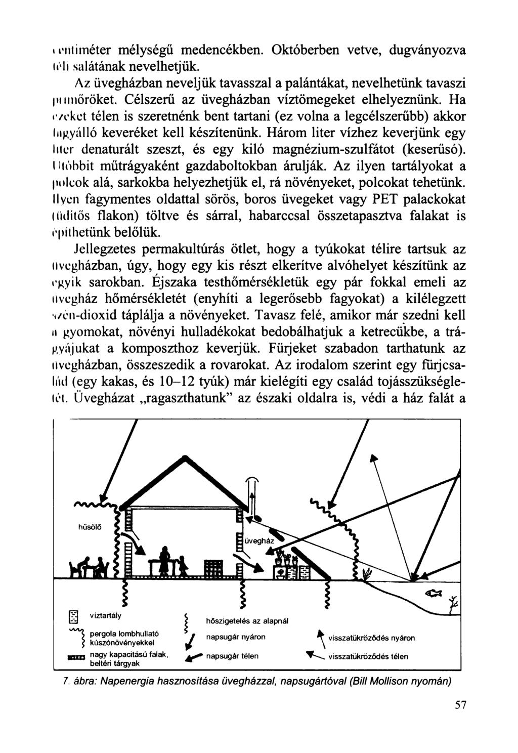 írn ti méter mélységű medencékben. Októberben vetve, dugványozva téli salátának nevelhetjük. Az üvegházban neveljük tavasszal a palántákat, nevelhetünk tavaszi pnmőröket.