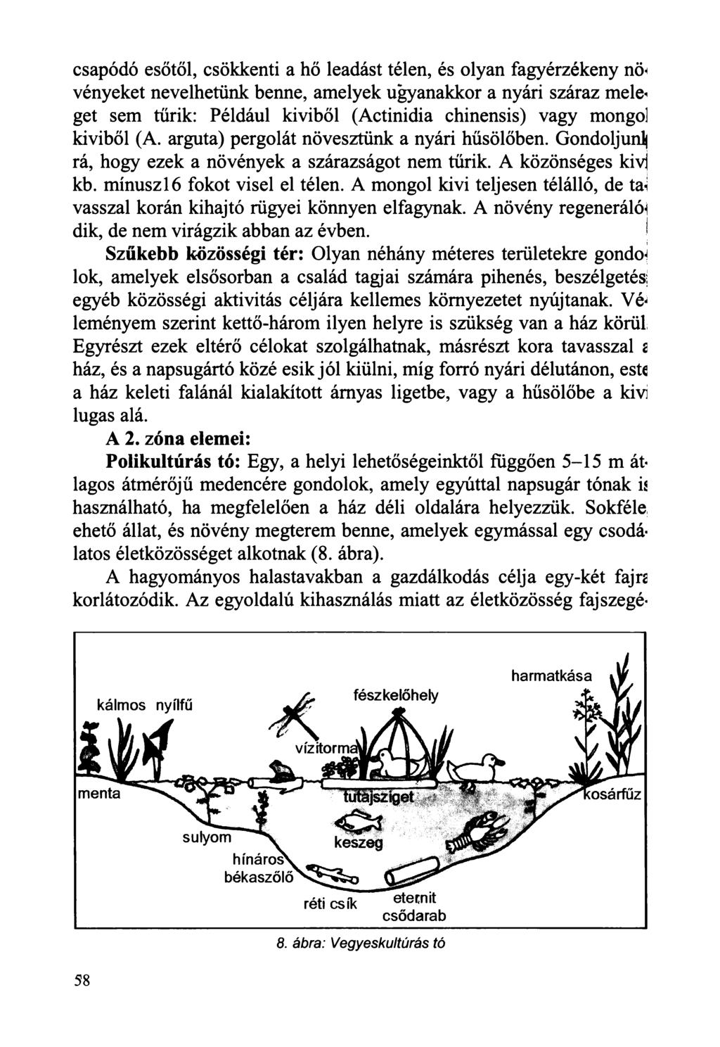 58 csapódó esőtől, csökkenti a hő leadást télen, és olyan fagyérzékeny nö< vényeket nevelhetünk benne, amelyek ugyanakkor a nyári száraz mele< get sem tűrik: Például kiviből (Actinidia chinensis)