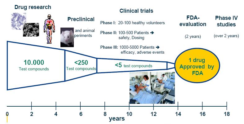A gyógyszerek életciklusa gyógyszerkutatás gyógyszerfejlesztés gyógyszer-tesztelés gyógyszer-engedélyezés preklinikai Fázis 1: 20-100 egészséges önkéntes Fázis