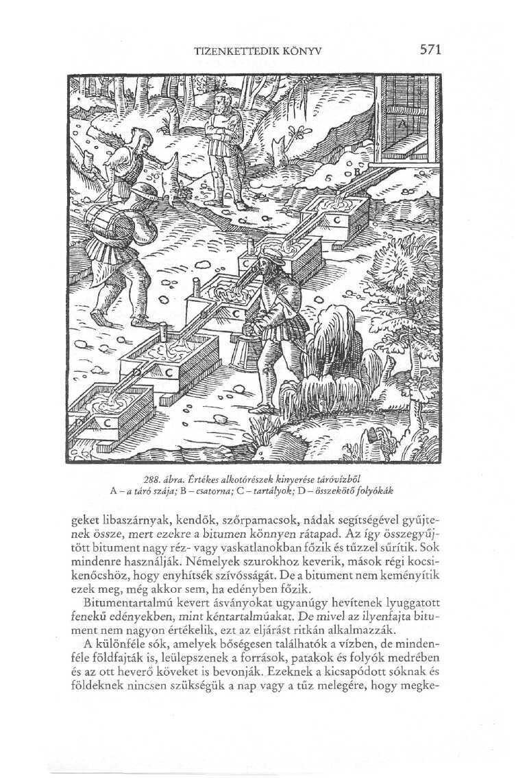 TIZENKETTEDIK KÖNYV 288. ábra.