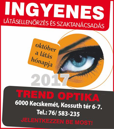 a magyarországi látáskultúra fejlődéséért, és az éleslátás iránti igény kialakításáért.