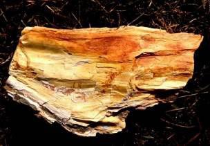 legelők, Újkút-pusztai homokbánya, Meszes homokkőfejtő), de4