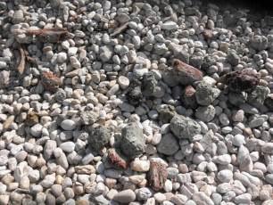 Kvarckavicsok a Dunából Darnózseli Kvarckavicsok a Dunából Nagytárcsa