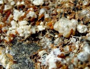 Apatit, melilit, szanidin Szanidin, apatit, melilit A Laach-i tó körüli lelőhelyek ásványlistája (német nyelven): Aegirin Ferrosilit Oxiphlogopit (TL) Aegirin-Augit Fersmit Oxo-Magnesio-Hastingsit