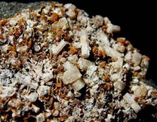 Allanit-(Ce) Galenit 'Phillipsit-Serie' Allanit-(La) Gehlenit Phlogopit 'Allanit-Gruppe' Gips 'Plagioklas' Almandin Gismondin Polykras-(Y) Alumohydrocalcit Goethit Pseudobrookit Alunit Götzenit Pyrit