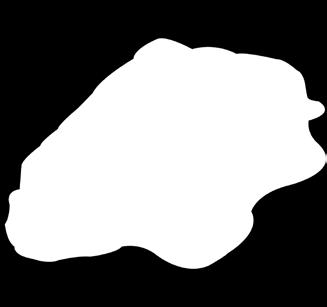 Tintahal karika 1