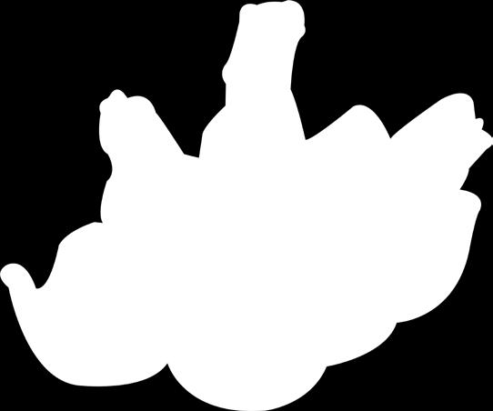 10 kg/#