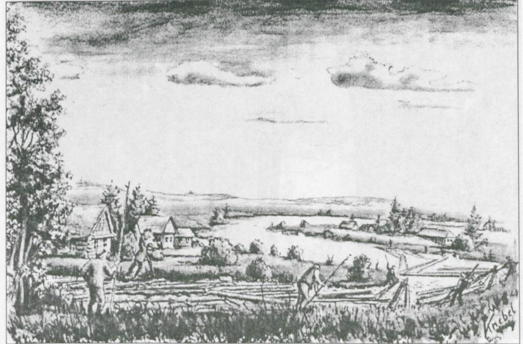 lágerből 223.