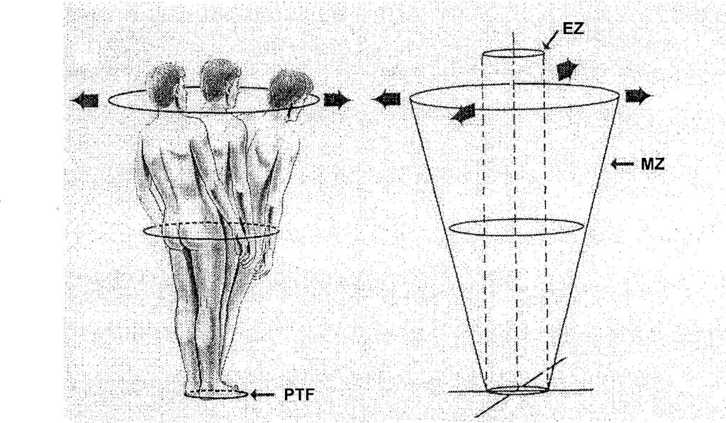 mentén maximális izommunkára van szükség az álló testhelyzet fenntartására (Dubousset 1988. ésl994., ld. 1-3. ábra). 1-3. ábra: Egy helyben álló egyensúlyi helyzet a polygonalis támaszkodási felszínen (PTF).