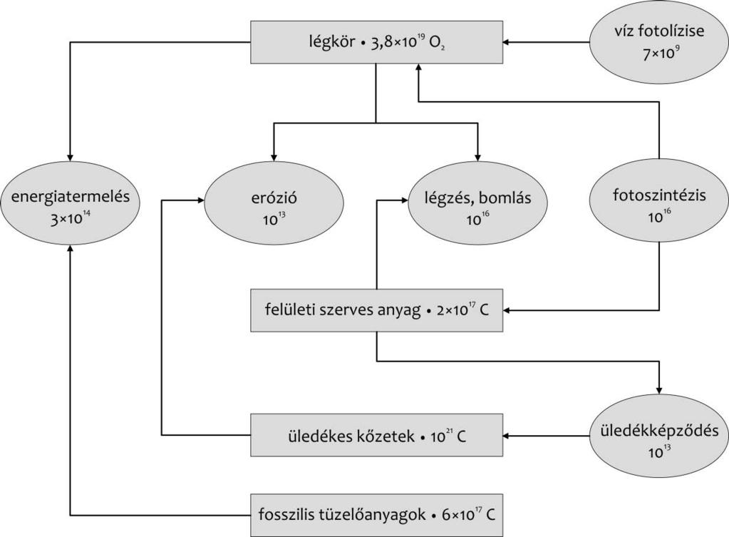 482 keletkezés oxigéntömeg (10 18 kg) fotoszintézis 32,0 víz felbomlása 1,9 összeg 33,9 fogyasztás hidrogén oxidációja 3,6 CO 2 oxidációja 2,2 kénhidrogén oxidációja 15,0 redukált vas oxidációja 9,9