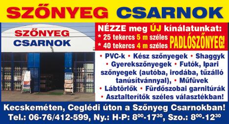 Ingyenes helyszíni felmér ajtó kültéri ablak gyártás és forgalmazás redőny külső és belsőtokos garázskapuk fa nyílászárók szúnyogháló 06 30/428-1252 06 20/954-2660 www.uvegkocka.