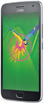 KÁRTYFÜGGETLEN 16 GB tárhely, 1 GB RM 13 Mp-es kaera Cikkszá: 1233156 XIOMI XIOMI REDMI 4