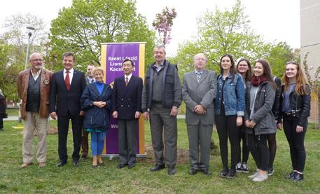 Lions Clubok Magyarországi Szövetsége vagy december első hétvégéjén rendezik meg ezt a rendezvényt, amelyre a magyarországi három SOS gyermekfalu (Orosháza, Kecskemét, Kőszeg) lakóin kívül a