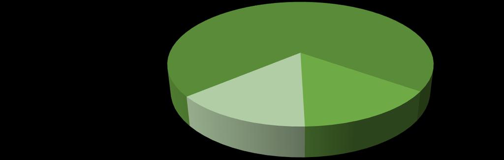 MAGYAR POSTA TAKARÉK HOSSZÚ KÖTVÉNY BEFEKTETÉSI ALAP HAVI PORTFÓLIÓJELENTÉS 2017.