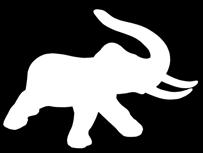 elephant // 
