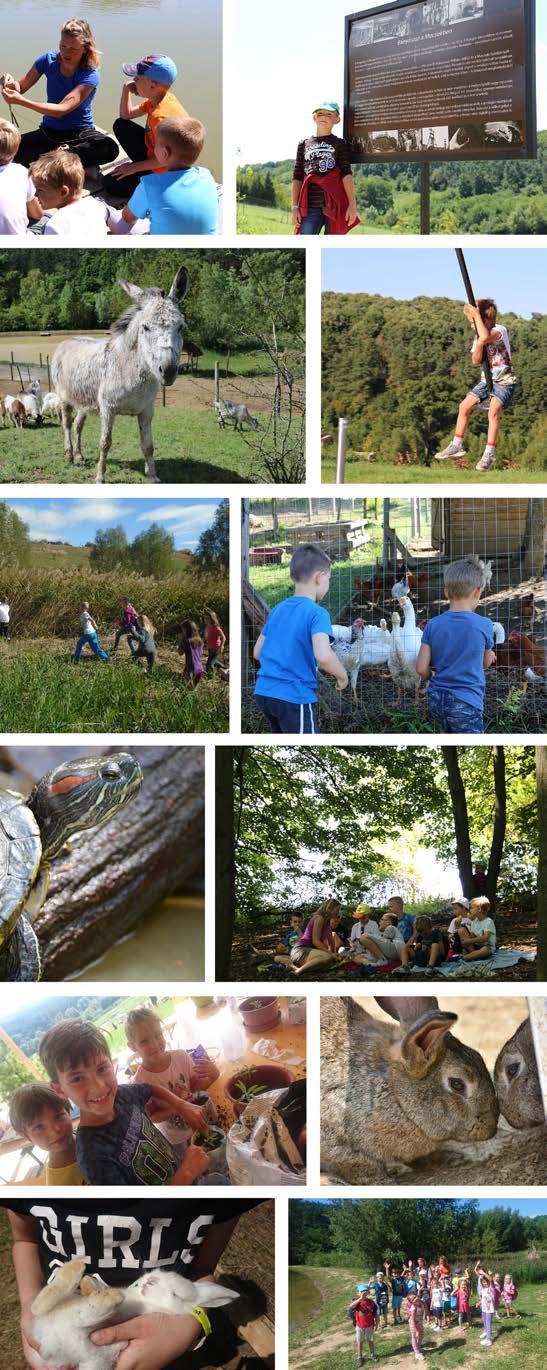 Barátok családi kirándulása Szállás 2 éjszakára a választott szobatípusban Wellness szolgáltatások (infra szauna, jakuzzi, kültéri medence, dézsa ) Ingyenes fürdőköntös használat Ingyenes Wi-Fi