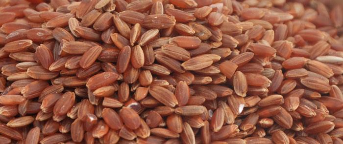 Vörös rizs Monascus purpureus gombával történő fermentálás során a vörös szín kialakulásával párhuzamosan képződik Monakolin K =