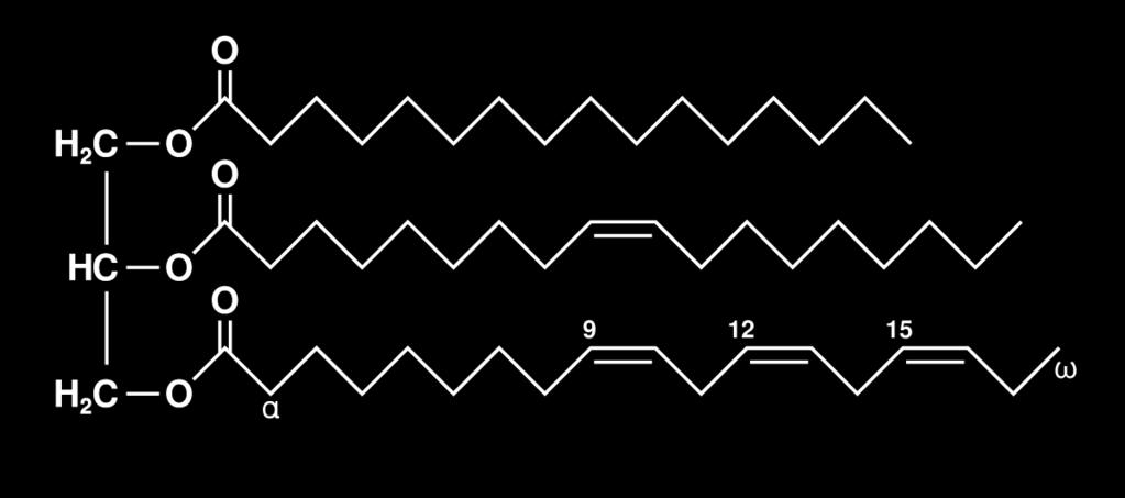 A lipoproteinek komponensei