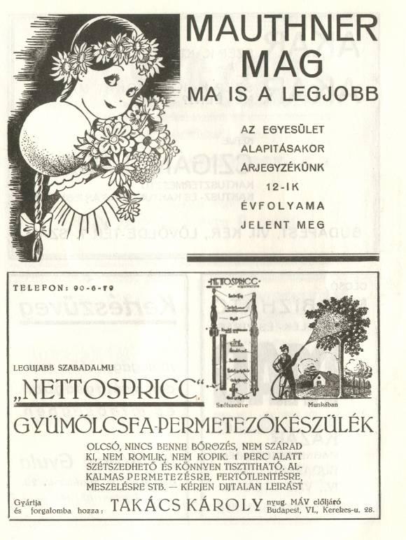 megalakuló szakmai szervezetek által patronált szakirodalmi tevékenység.