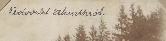 A 20. század első felében publikált OMKE Aranykönyv kertészettörténeti adatokat összefoglaló ismertetője 171 szerint az alcsúti főhercegi díszkertészet a 19.