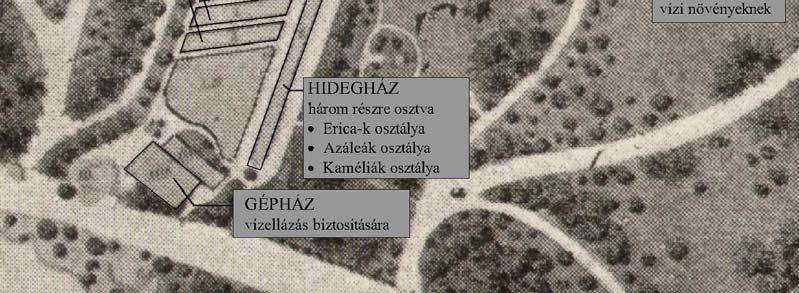 tenyésztés a telep egyik specialitása volt); Páfrány-ház; továbbá vegyes melegház (pl. Marantha-gyűjtemény ápolására) és végül egy mérsékelt ház.