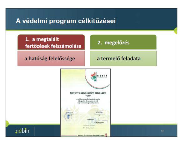 A kórokozóval, az amerikai szőlőkabócával valamint a védekezéssel kapcsolatos információk elérhetők a NÉBIH alábbi honlapján: https://www.nebih.gov.