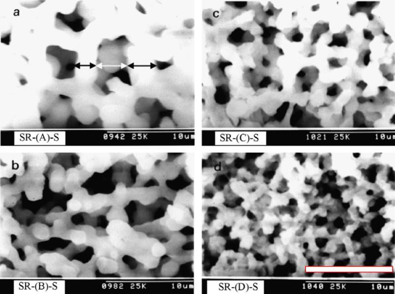 Bereczki Helga Fruzsina egyetemi doktori (PhD) értekezés 5. ábra Monolitikus töltetek SEM felvételei 107 Nagyítás: 25 000. Skála: 10 µm.