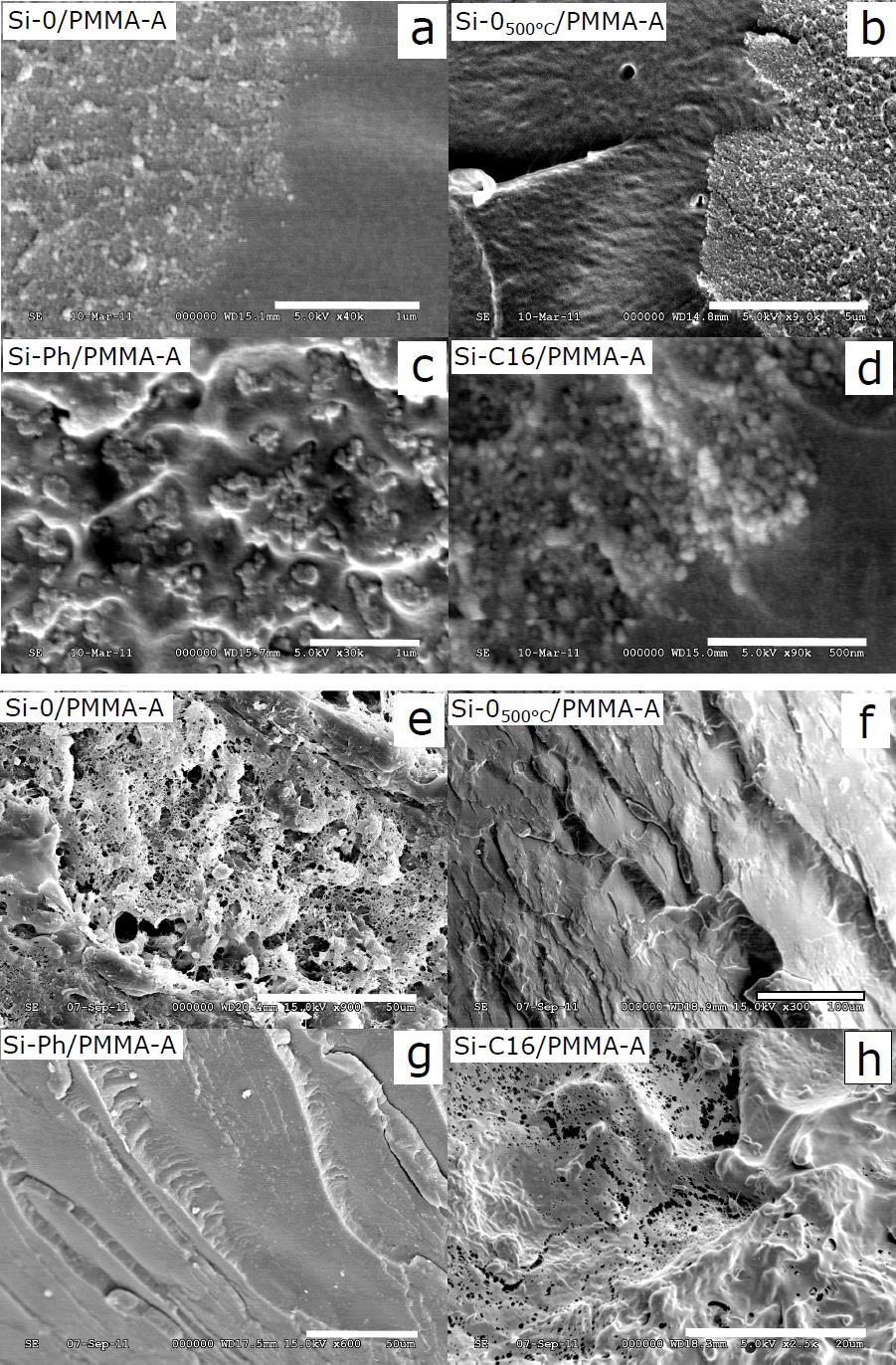 Funkcionalizált szilika aerogélek előállítása és lehetséges alkalmazási területeik felderítése 21. ábra Az aerogél-pmma kompozitokról készült SEM felvételek az SBF kezelés előtt (a-d) és után (e-h).