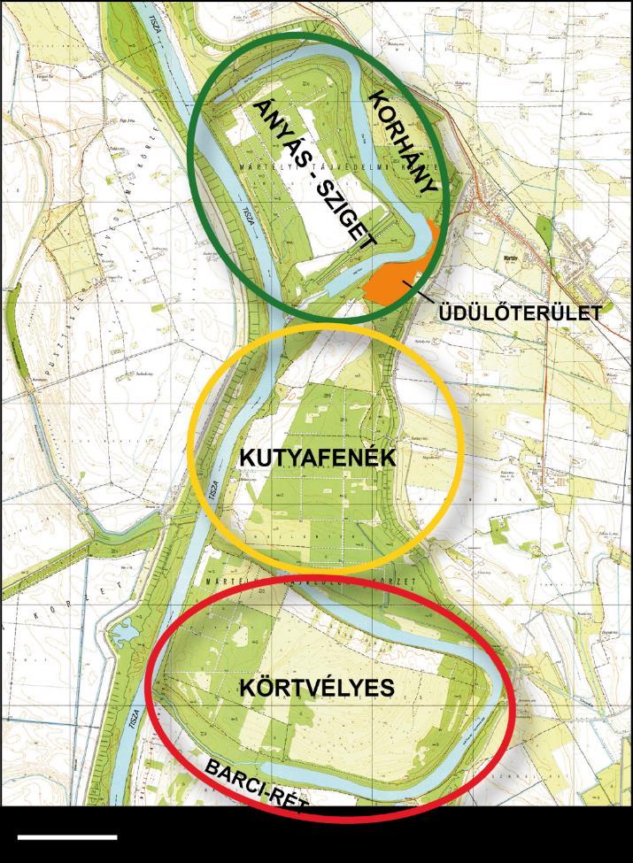 behurcolt invazív fajok amerikai kőris, zöld kőris és gyalogakác egyre nagyobb területet hódítanak el az őshonos fajoktól.