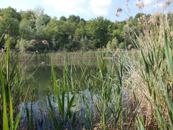 Útba ejtettünk egy szép kis tavat, ahol helyi fiatalok