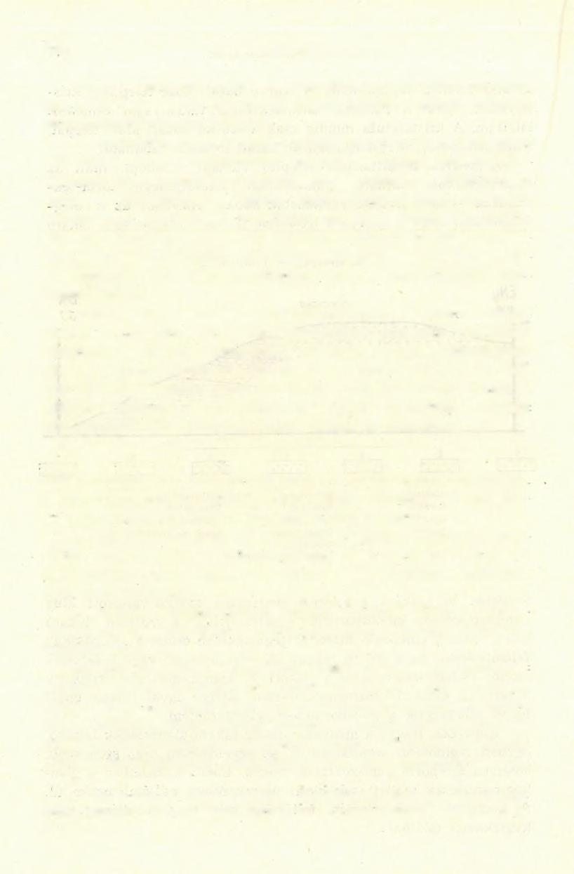 64-8 J U G O V I C S Erre a homokkőre, mint a szelvényből látható, vékonyam réteges, néha lemezes, de elég tömöttszövetű riolittufa települ, melyben sok növénymaradvány található. A.