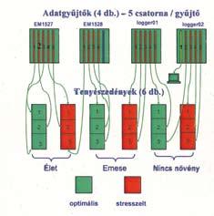 A magyar búza aszály- és fagytűrésének, valamint betegség-ellenállóságának javítása növénynemesítési, genomikai és biotechnológiai módszerekkel Projekt időtartama, támogató: 2004-2007, NKFP