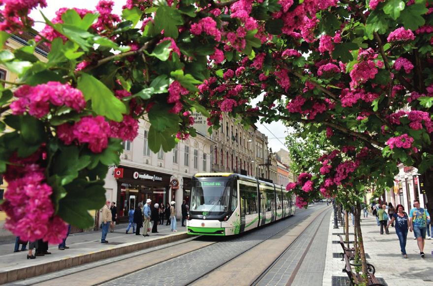 24 Connection Miskolc Nem csupán vas és beton Az egyetem városa, Miskolc Miskolc gyakorta afféle szürke iparvárosként jelenik meg a magyar közgondolkodásban, pedig a város éppúgy gazdag múlttal és