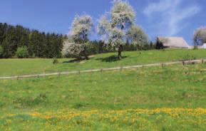 Joglland-Waldheimat turizmus iroda A Joglland-Waldheimat tájegység csodás tavaszi túraajánlatokkal csalogatja a természet szerelmeseit.
