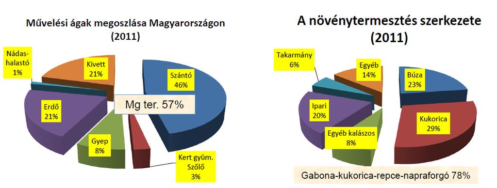 A Biomassza Termékpálya Szövetség által javasolt alapelvek a biomassza hasznosítására: A mezőgazdaság alapvető feladata az élelmiszer-előállítás, tehát csak azt a területet szabad energetikai célra