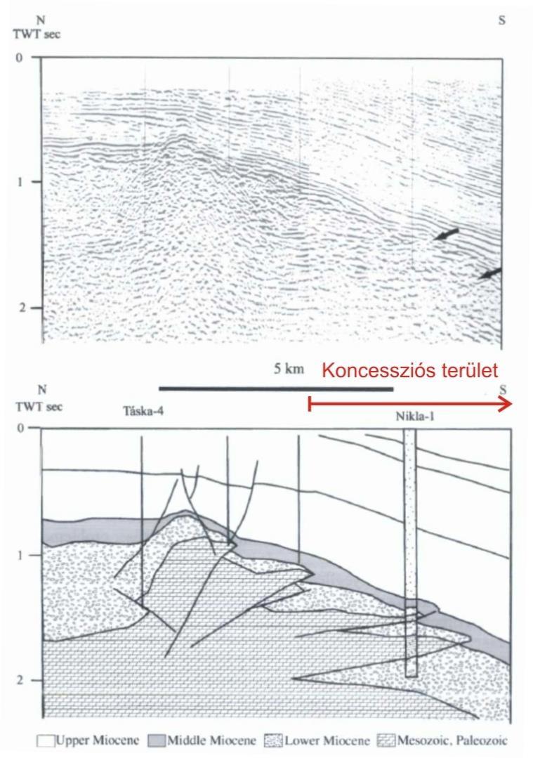 Somogyvár I Komplex érzékenységi és terhelhetőségi vizsgálati tanulmány 13 ábra Pozitív virágszerkezet D-i vergencijú lapos rátolódásai a Táska-, és a Nikla Öreglak-törés transzpressziós zónájában