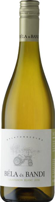 Kimért borok / Wines by Glass / Weine vom Fass Nyakas Irsai Olivér 2016 Tök Az év egyik első újbora a töki Nyakas Pince friss, illatos irsaija.