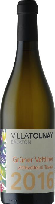 Villa Tolnay Zöldveltelini Tavasz 2015/2016 Badacsony Húsz éves tőkék, csobánci bazalt, és öt hónap battonage tartályban. Kristálytiszta veltelini, fehérbors, alma, egres és citrusok finom sora.