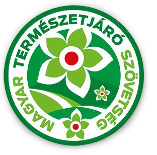 INTÉZET ALAPÍTVÁNY