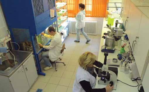 A mezőgazdasági felhasználáshoz szükséges nagy tömegű gyártást több lépcsős léptéknöveléssel (scale up) valósítjuk meg, amelynek első lépéseként lombik léptékű rázatott folyadék kultúra készül,