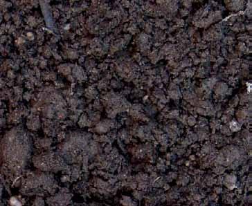 AGRO.bio Hungary Kft. 9700 Szombathely, Hollán Ernő u. 21. Tel./fax: +36-94 313-609 E-mail: info@agrobio.